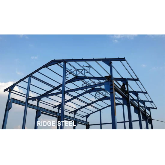 Quality Assurance Structure Dacier Q355b Prefabricated Warehouse Steel Structure Building